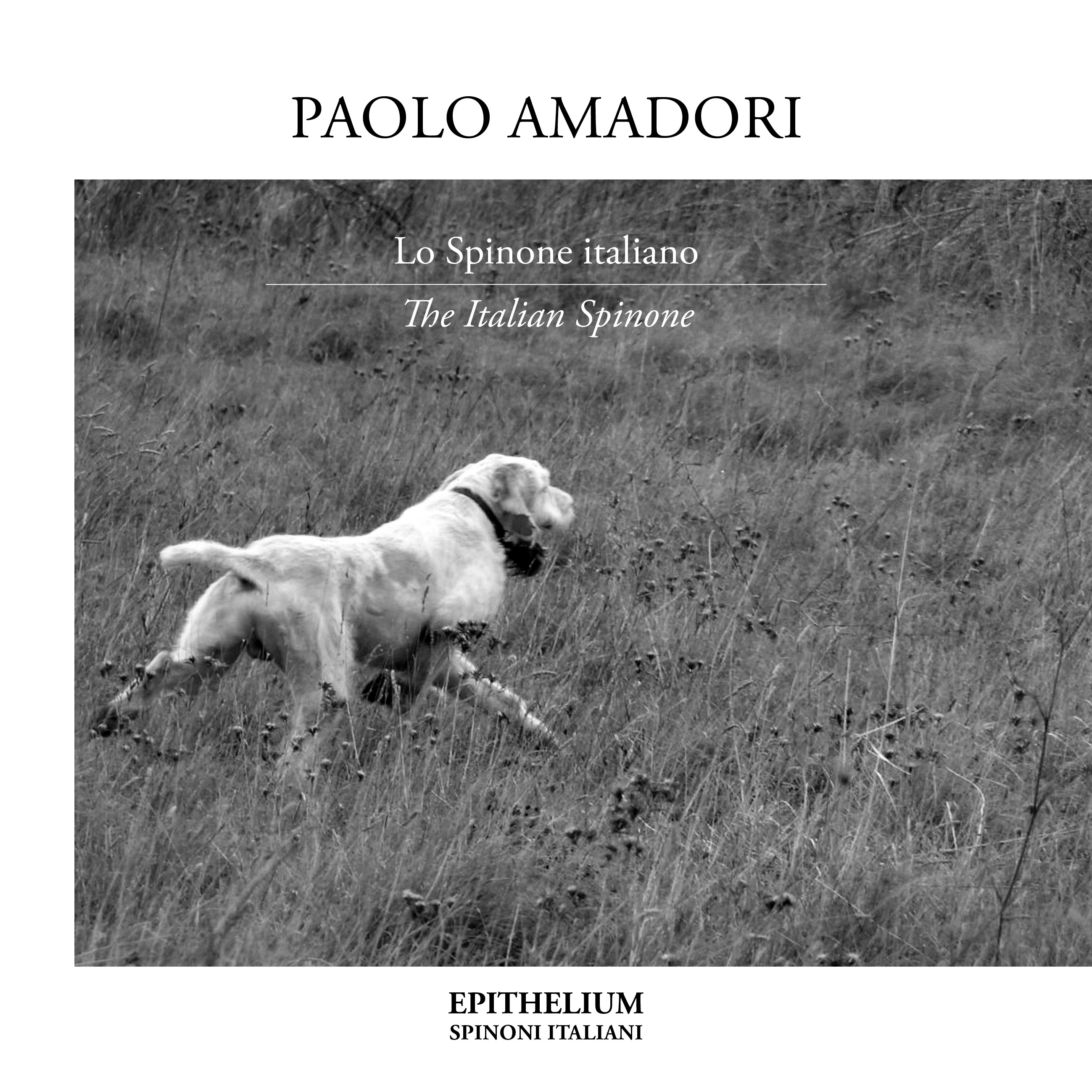 editoria grafica progetto libro milano como monza